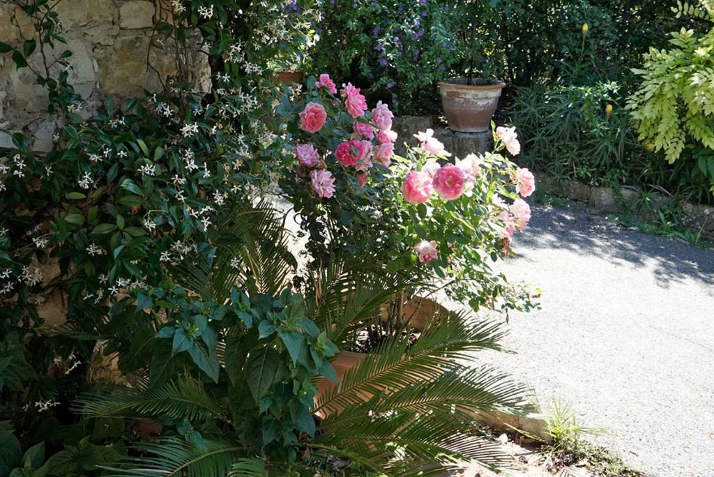 D'hotes Il Monticello 2* Grasse