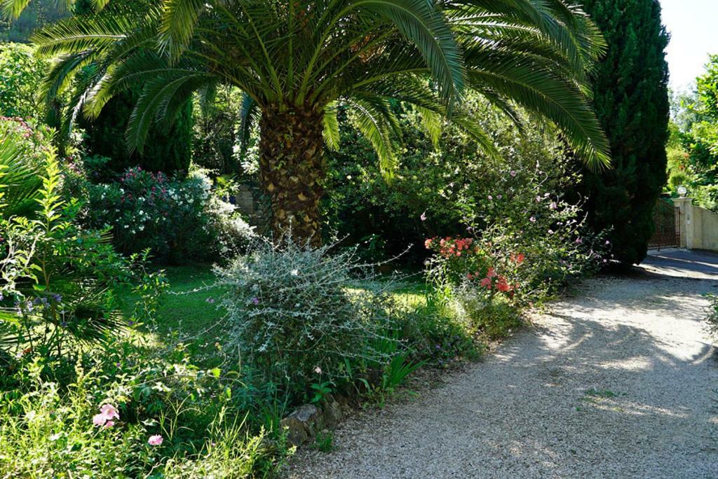 Bed & Breakfast D'hotes Il Monticello